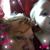 Julie Daniels's profile image