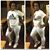 Susie Que's profile image