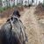 Mandy Haiss's profile image