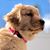 Vicki Blanchard's profile image
