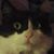 Debbie Hauck's profile image