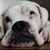 Jody Heatherly's profile image