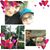 Stephanie Lynn Wowak's profile image