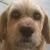 Gail Van's profile image