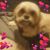 Marie Hunter's profile image