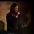 Stephanie Flynn's profile image