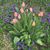 Loretta Jones Seddon's profile image