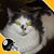 John E Bell Sr.'s profile image