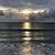 Shelly Bobbett Boggess's profile image