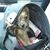 Stephanie Helt's profile image