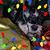 Teresa Nevarez's profile image