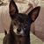 Renfro Deleon's profile image