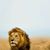 James Dale's profile image