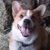 Heidi Shepler's profile image