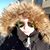 Chelsey Lord's profile image