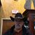 Tim Millspaw's profile image