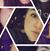 Maria Nelson's profile image