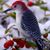 Judi Thornton's profile image