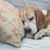 Jane Hyslop's profile image