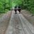 Barb Musolff Bump's profile image