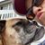 Debbi Timmers-Hawkins's profile image