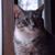 Cathy Worden's profile image