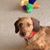 Lee Ann Choquette's profile image