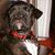 Poly Guss's profile image