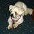 Bob Schiesser's profile image