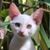 Katrin Hecker's profile image