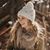 Sarah Fillafer's profile image