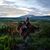 Cassi Greenlee's profile image