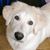 Nancy Robinson's profile image