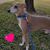 Elvira Arriaga's profile image
