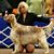 Margo Lipipipatvong's profile image
