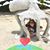 Rachel Dunbar's profile image