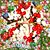 Kathy Kleinsorge's profile image