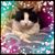 Carol Marrs Scott's profile image