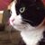 April Dawn's profile image