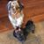 Amanda Atrostic's profile image