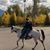 Susan Stebbins Quigley's profile image