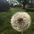 Dawn Jennings-Bates's profile image