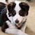 Marny Thomas Marlow's profile image