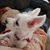Penny Bomar Cabaniss's profile image