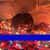 Cathy-Jo Willis Kanterman's profile image