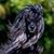 Hidalia Andre's profile image
