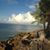 Linda Fernandez's profile image