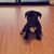 Tiffani Reager's profile image