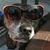 Kimberly Johnson's profile image
