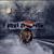 Bassam Saray's profile image